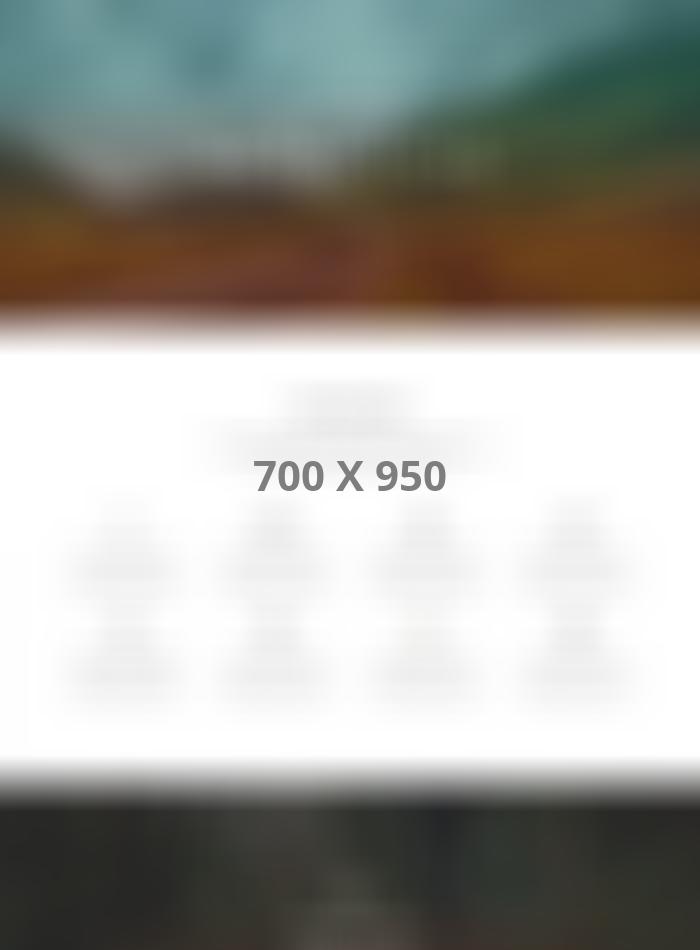 Support and Partnerships